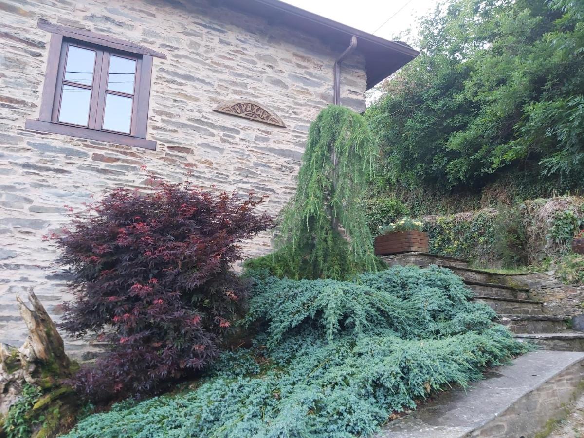 O Paxar Villa Samos Ngoại thất bức ảnh